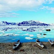 Arktis: Da hvalrossen veltet kajakken!